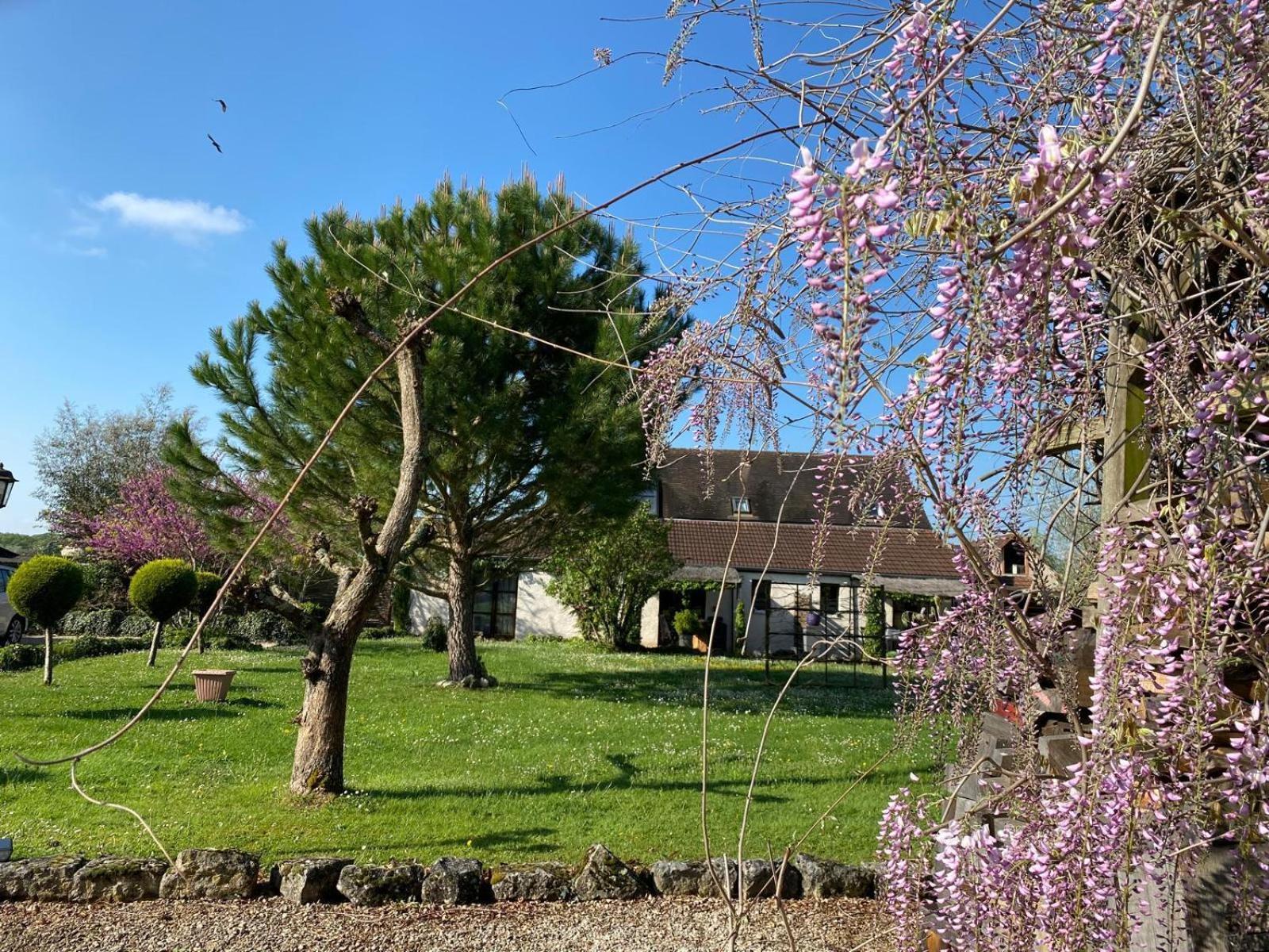 Gite Et Studios Les Barongeres Farges-les-Chalon Exterior photo