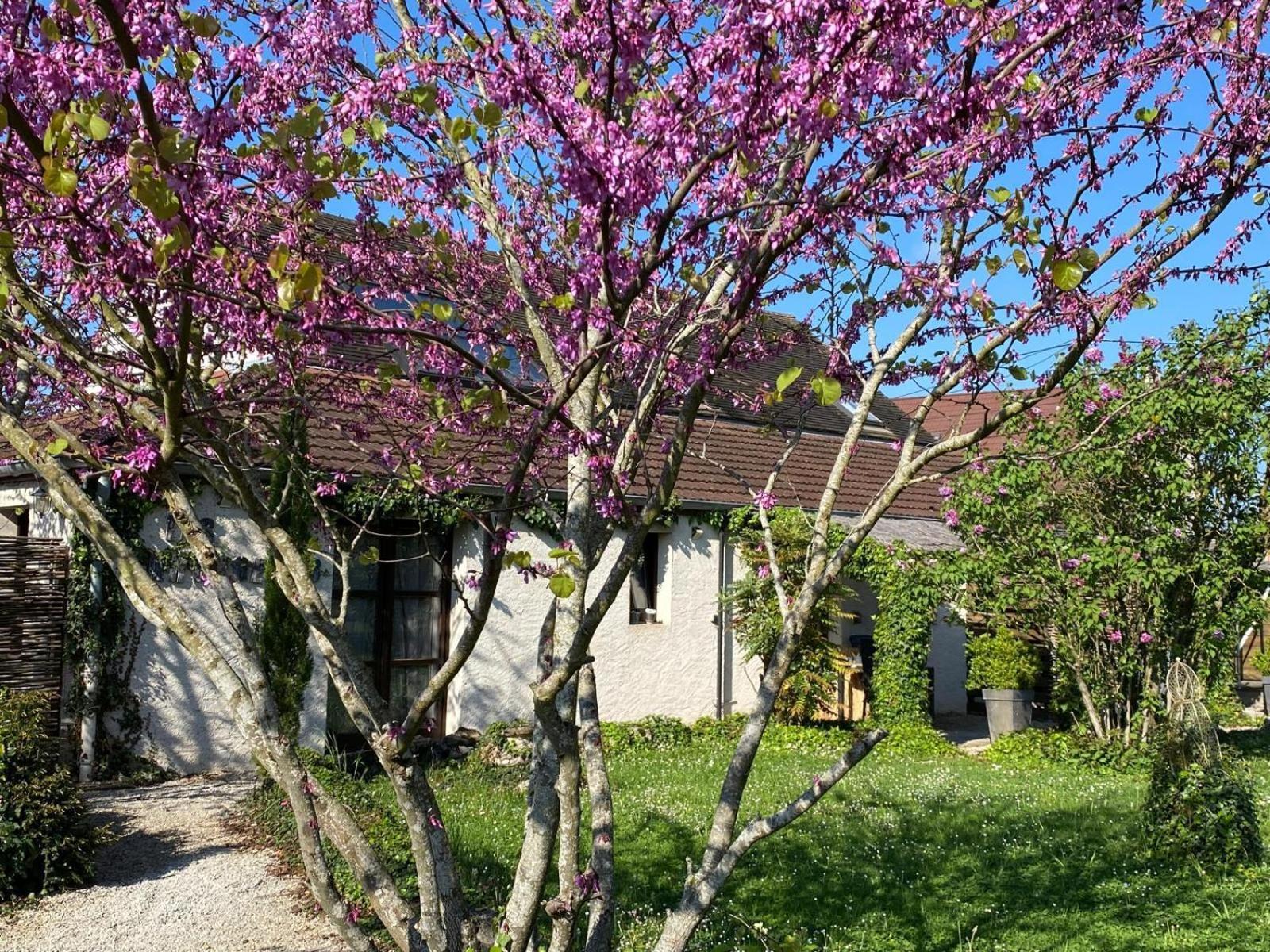 Gite Et Studios Les Barongeres Farges-les-Chalon Exterior photo