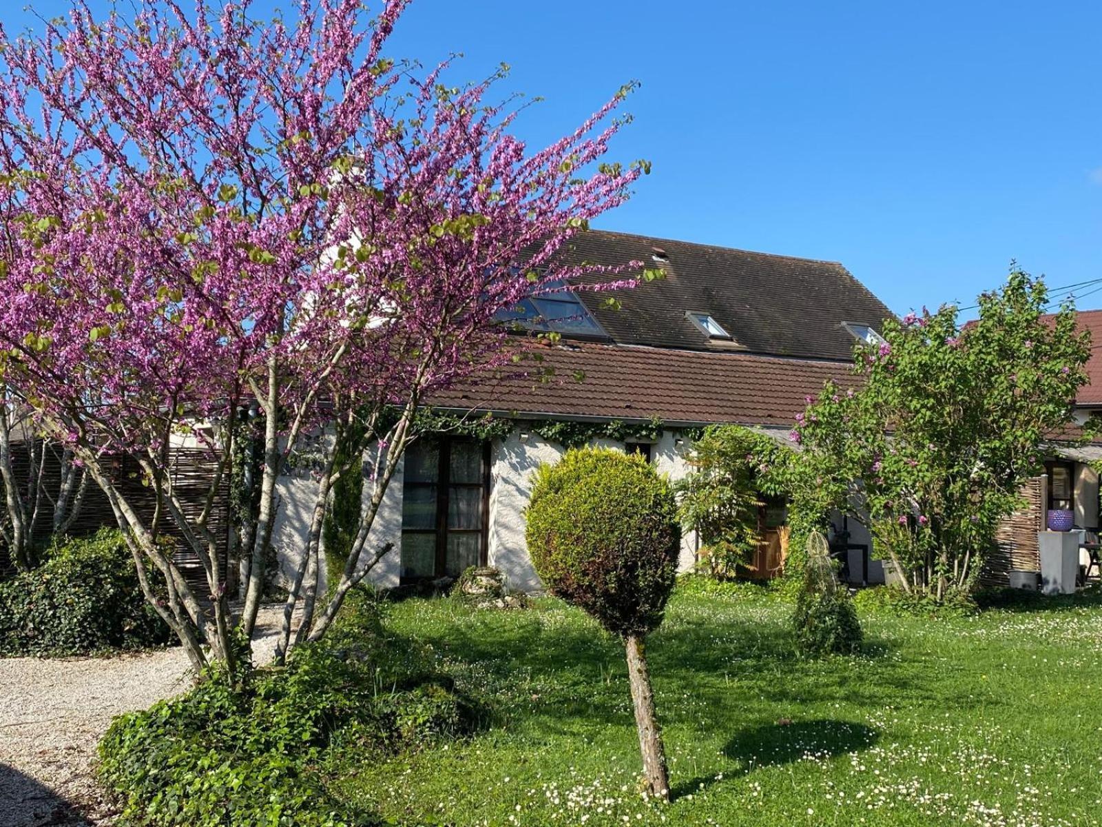 Gite Et Studios Les Barongeres Farges-les-Chalon Exterior photo